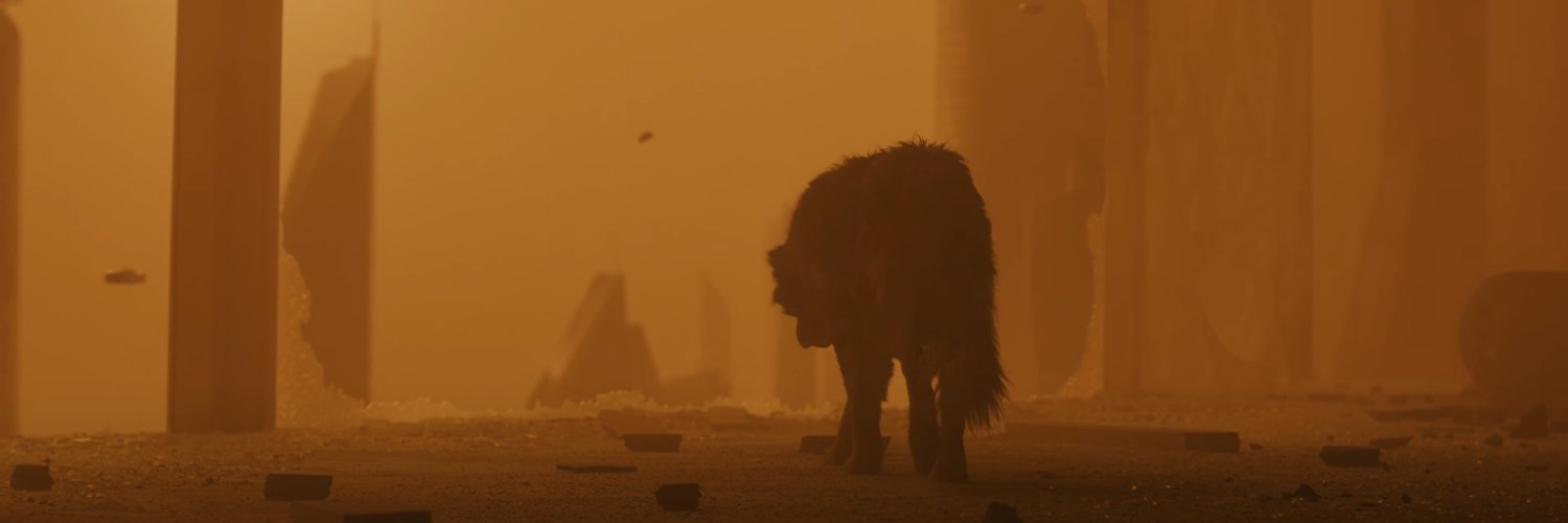 holy_cockroach's profile banner image