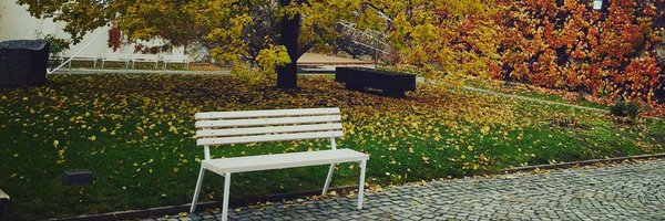 jay9desai Profile Banner