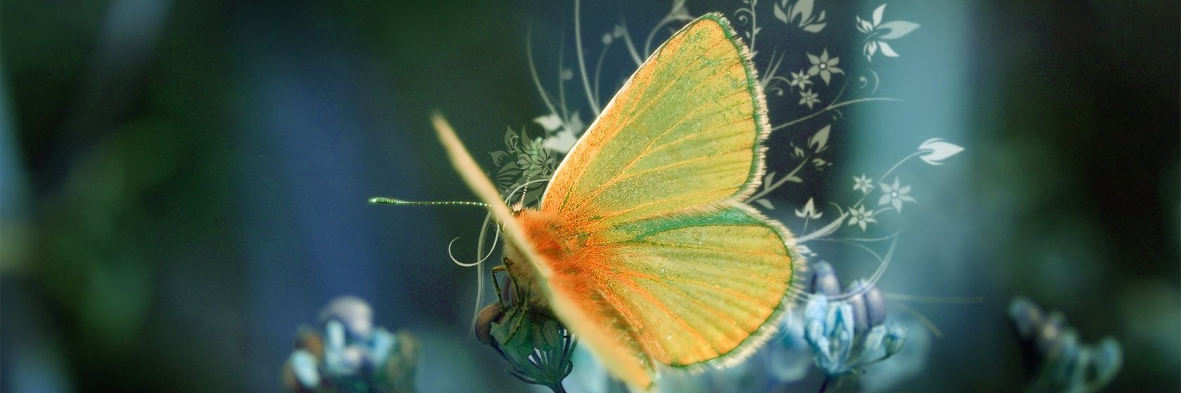 82SilT's profile banner image