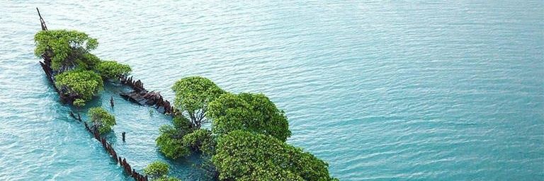 mackymarz's profile banner image
