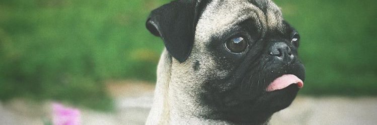 jusallesv's profile banner image