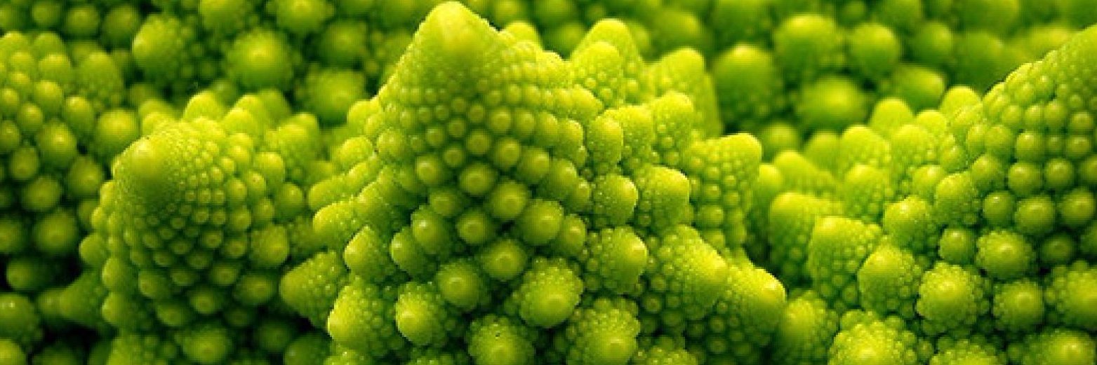 entropijna's profile banner image