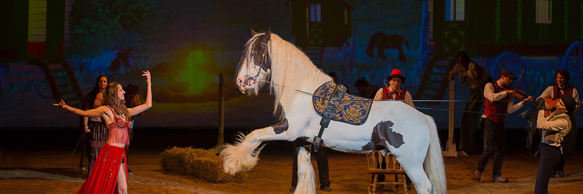 CavalandParc's profile banner image