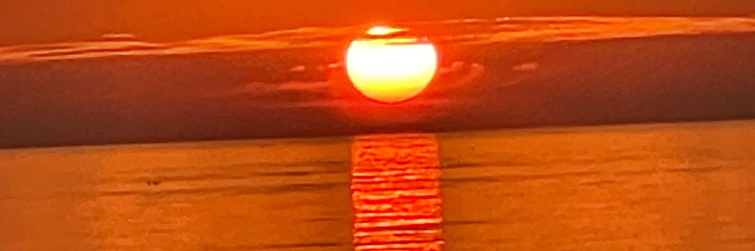 Trump2024_DTS's profile banner image