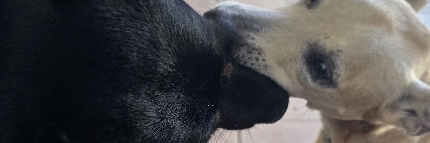 OhM4rU's profile banner image