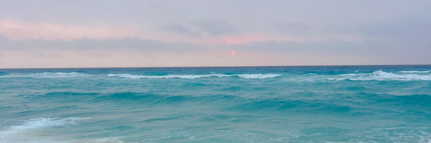 balbinaprieto's profile banner image