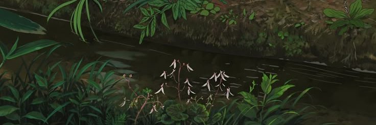 FoxyUnderTheSun's profile banner image