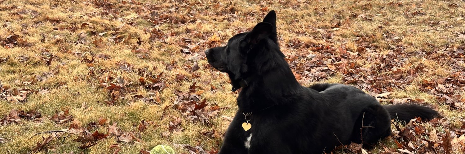 munchiii_'s profile banner image