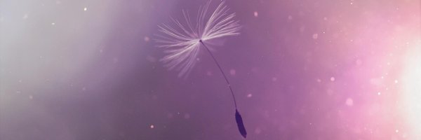 tenn_tten Profile Banner