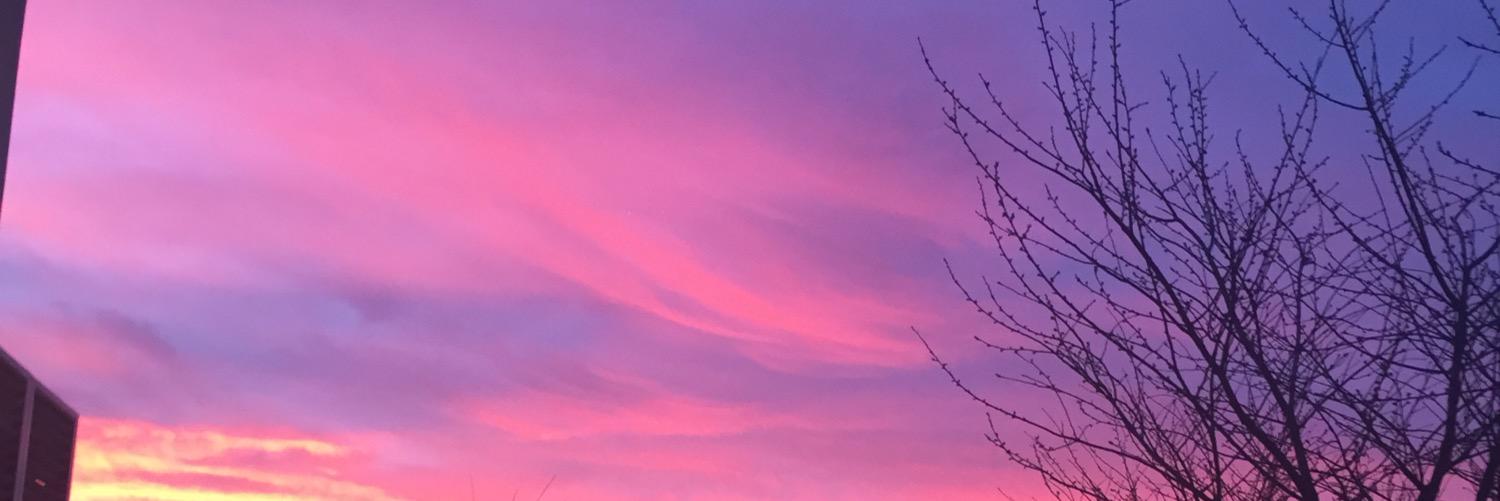 allison_cooke's profile banner image