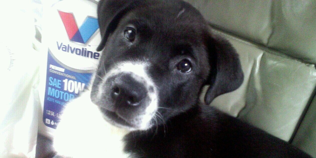 Ropeadoke's profile banner image