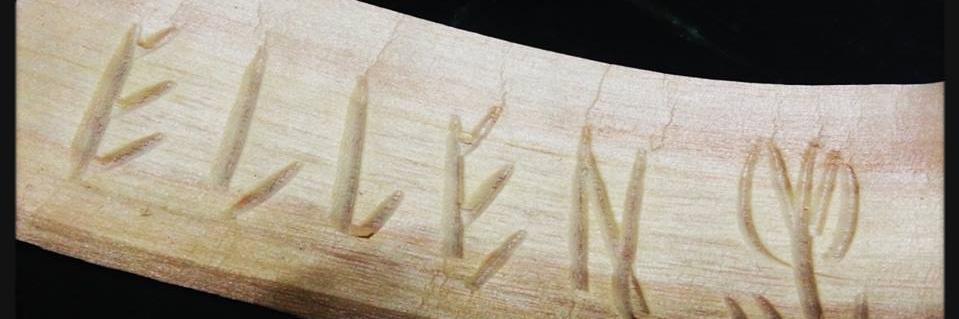 Ellen-Chiu banner