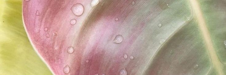 womyoing's profile banner image