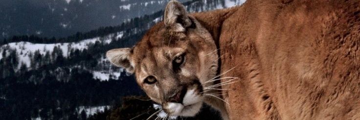 mariacamargo72's profile banner image