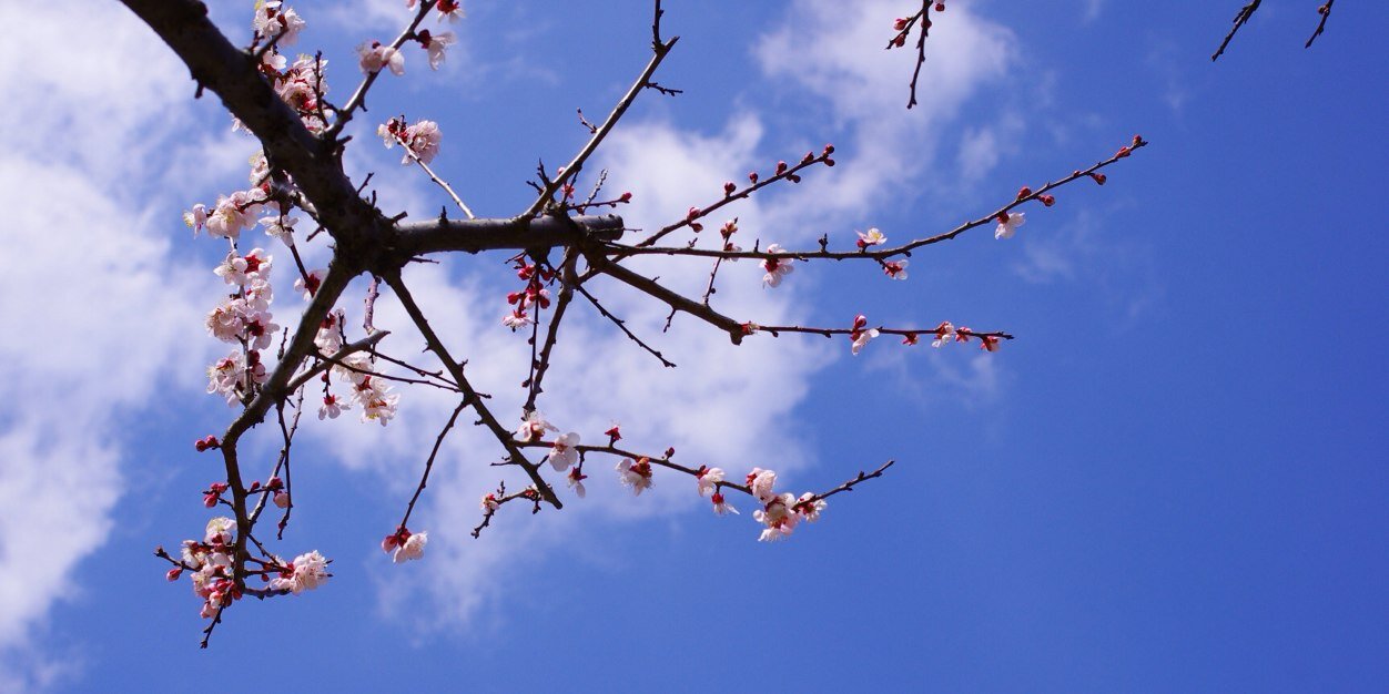 kasumin_hyper's profile banner image