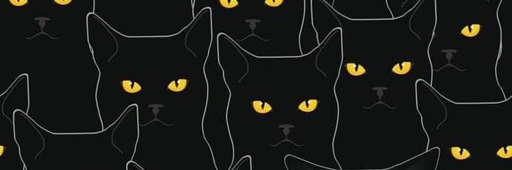 brainhort's profile banner image
