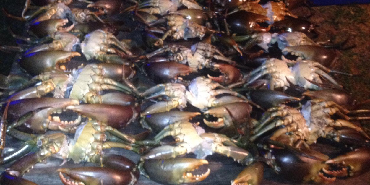 brigga01's profile banner image