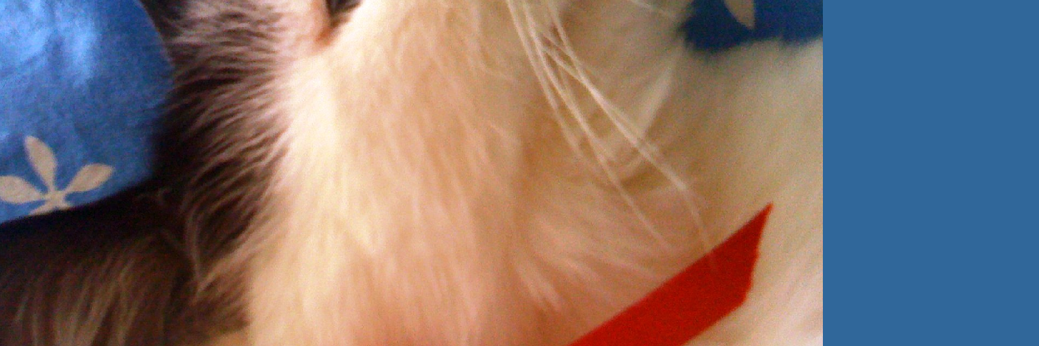 cressycat's profile banner image