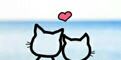Eilsel04's profile banner image