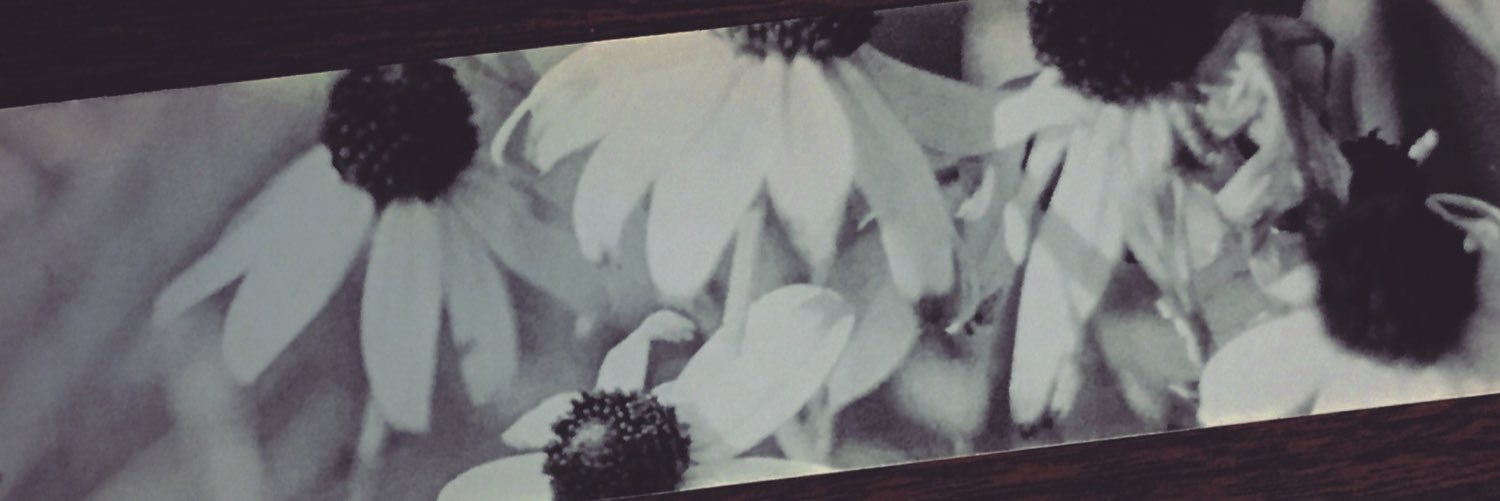 Jeanelle_arg's profile banner image