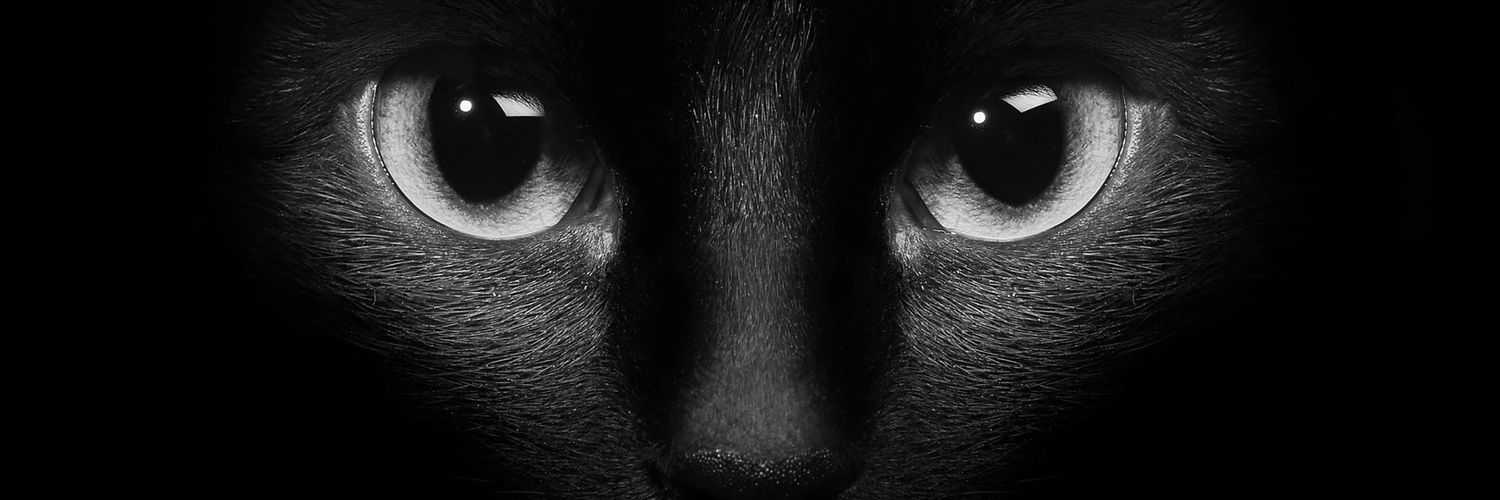 Anyitiquens's profile banner image