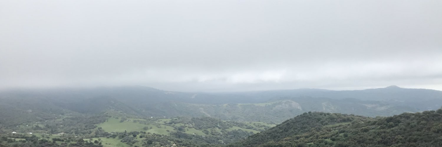 blueflowerr_'s profile banner image