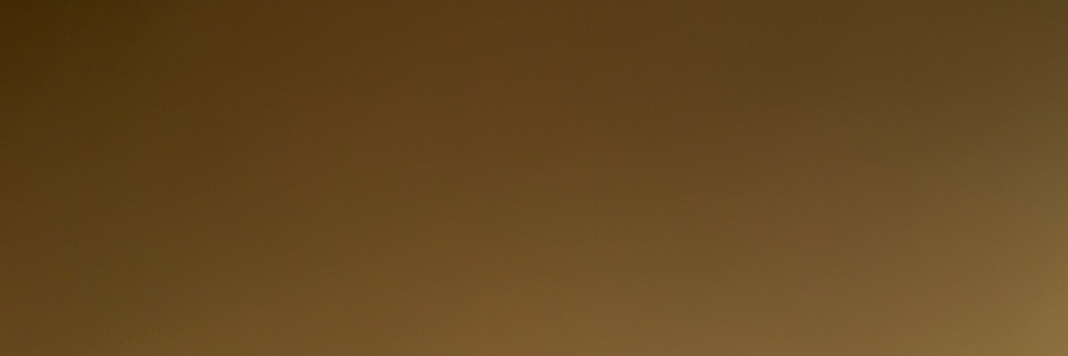 loreluna22's profile banner image