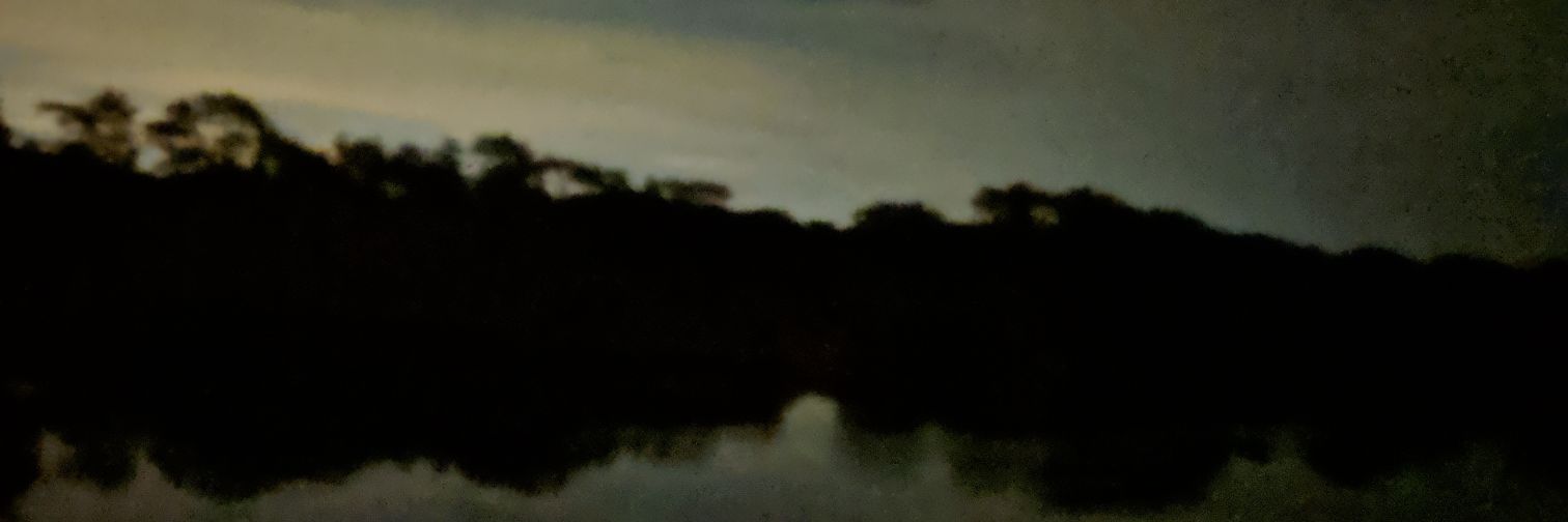 DMend banner
