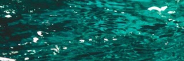 FernandaItatiR's profile banner image