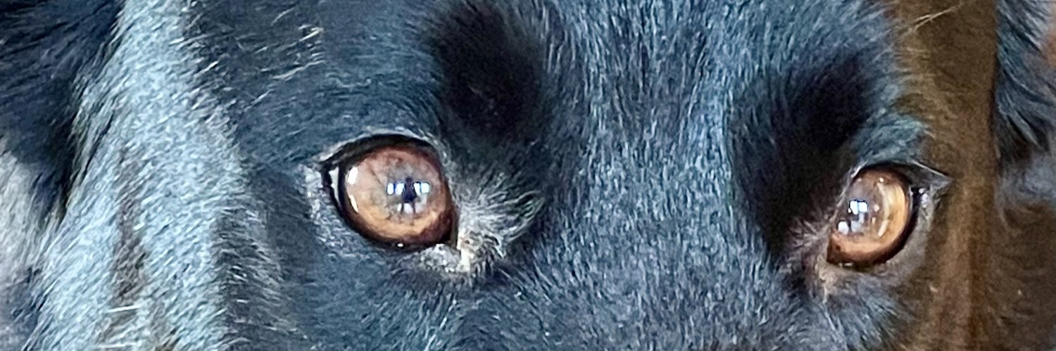 reeortiz's profile banner image