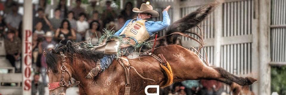 Ryangrayrodeo's profile banner image
