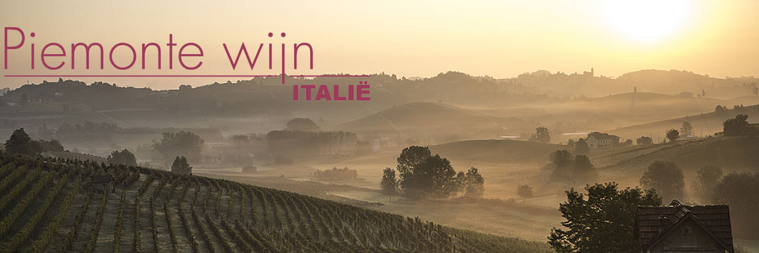 PiemonteWijn's profile banner image