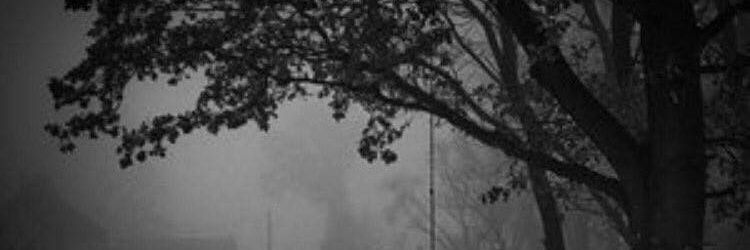 eebb567's profile banner image