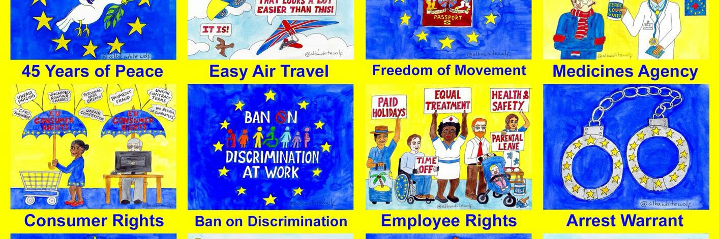 European Movement NI banner