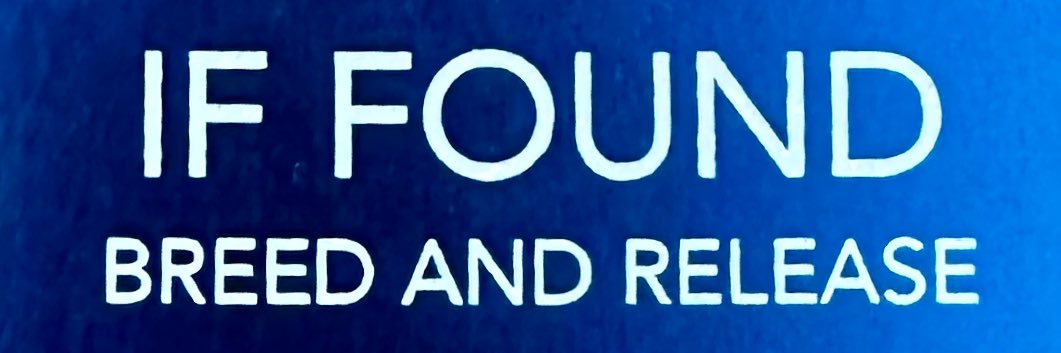 Pup Helios 🔜 Darklands banner