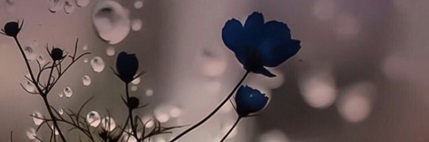 M_155a's profile banner image