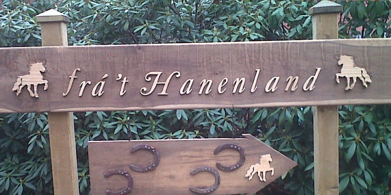 Hanenland's profile banner image
