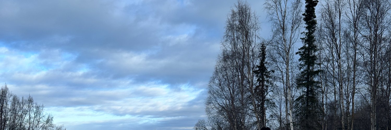 LNZbelle's profile banner image