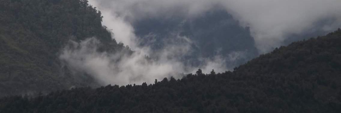 ComoesThais's profile banner image