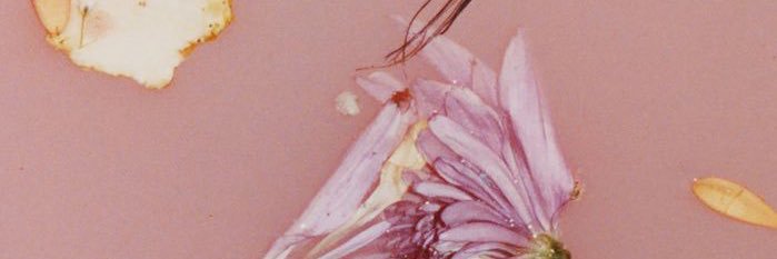 abbyeb133's profile banner image