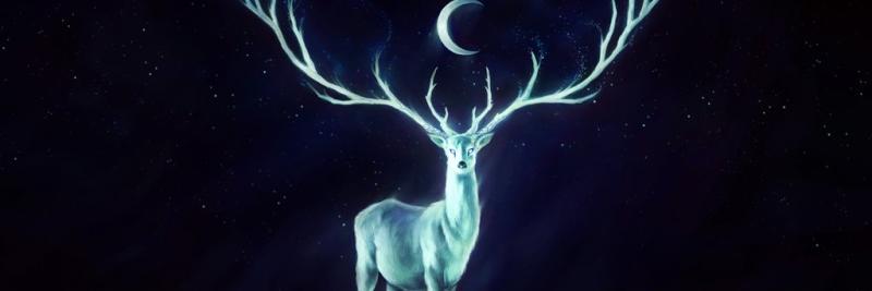 pareroddy's profile banner image