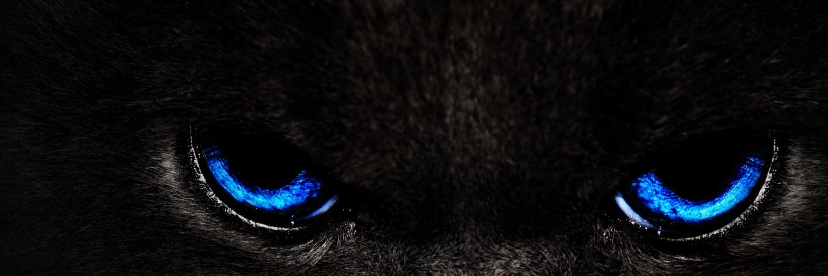 PornGirl05's profile banner image