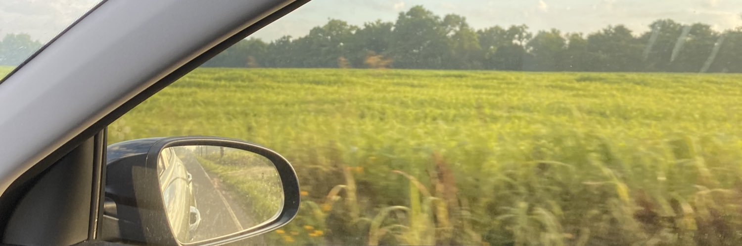 BoomerBradey's profile banner image