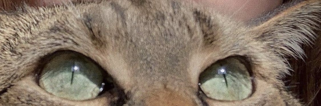 saraaaa_smith's profile banner image