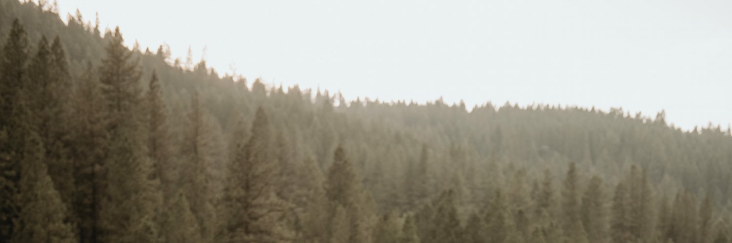 KalGMorici's profile banner image