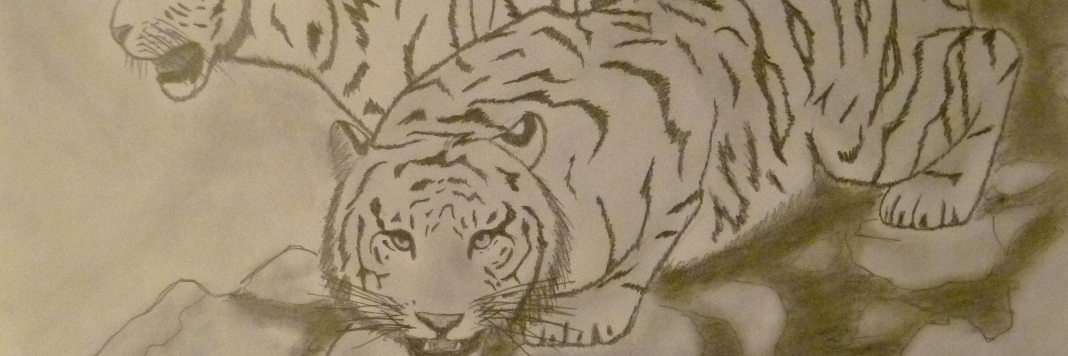 TsuKirutsu's profile banner image