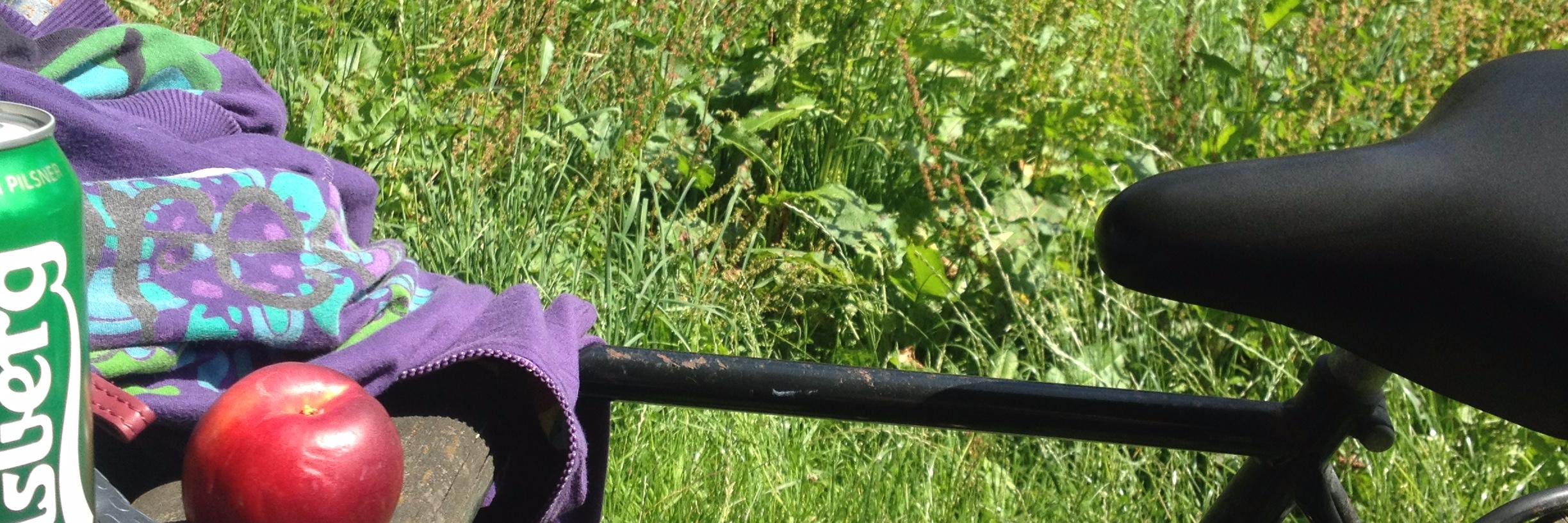 cactodeasfalto's profile banner image