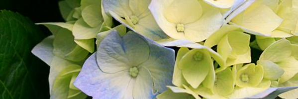 Jenn_Sitz Profile Banner