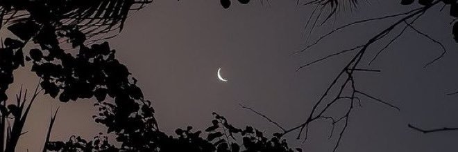 NancyK_x0x0's profile banner image