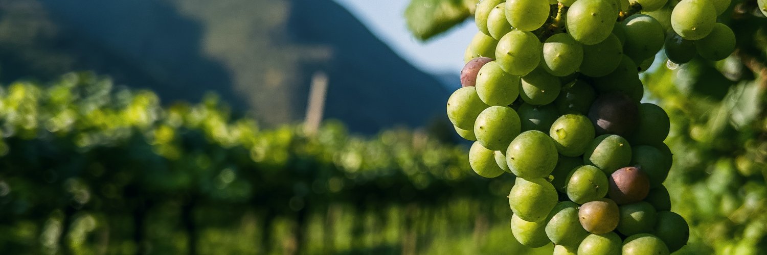 Michael P Thomas banner